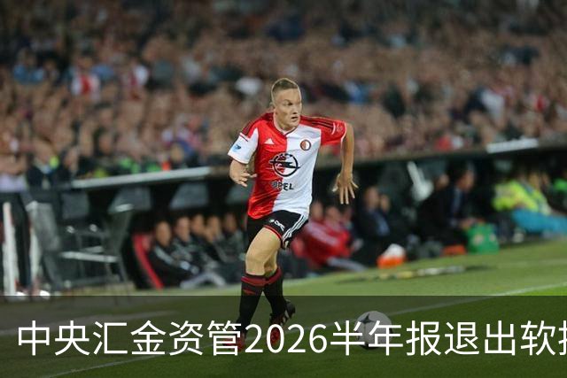 中央汇金资管2026半年报退出软控股份前十大股东名单