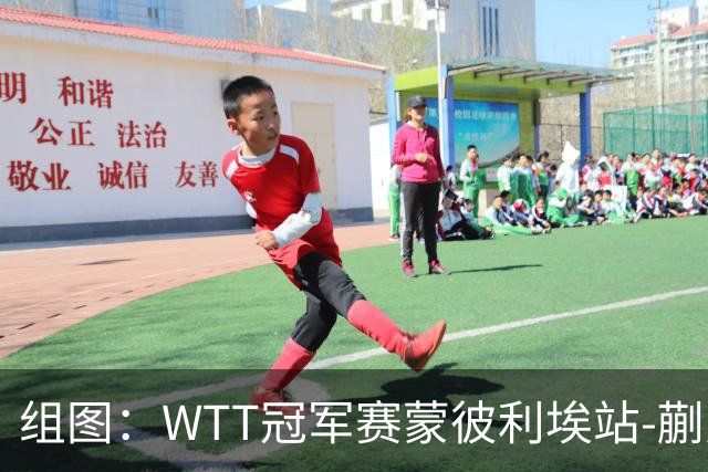 组图：WTT冠军赛蒙彼利埃站-蒯曼晋级8强 暴力回球