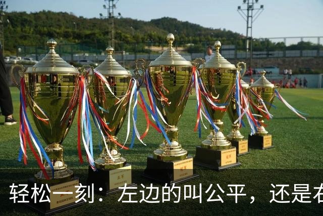 轻松一刻：左边的叫公平，还是右边的叫公平？