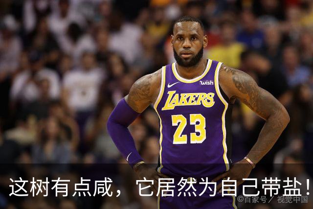 这树有点咸，它居然为自己带盐！古人没盐了就找这种树救急！